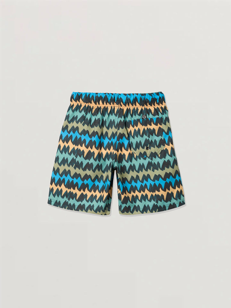 Big Tooth Boys Pool Shorts