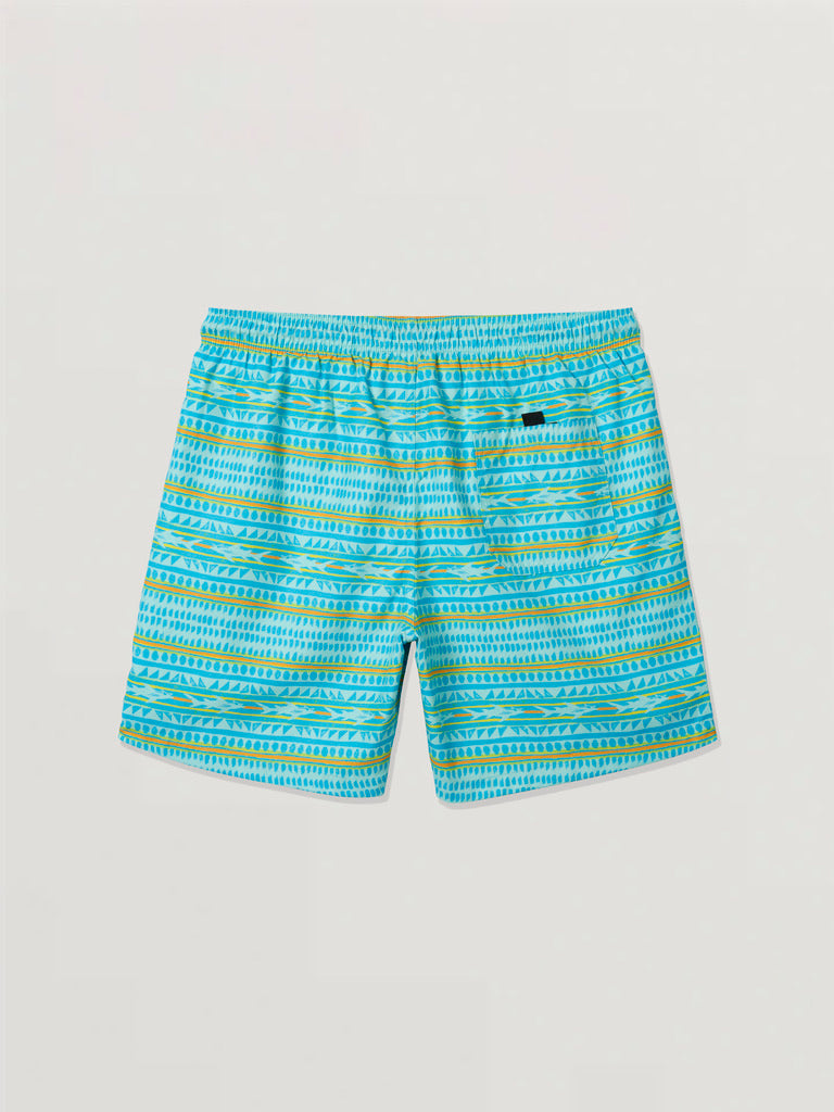 Chaser Stripe Pool Shorts