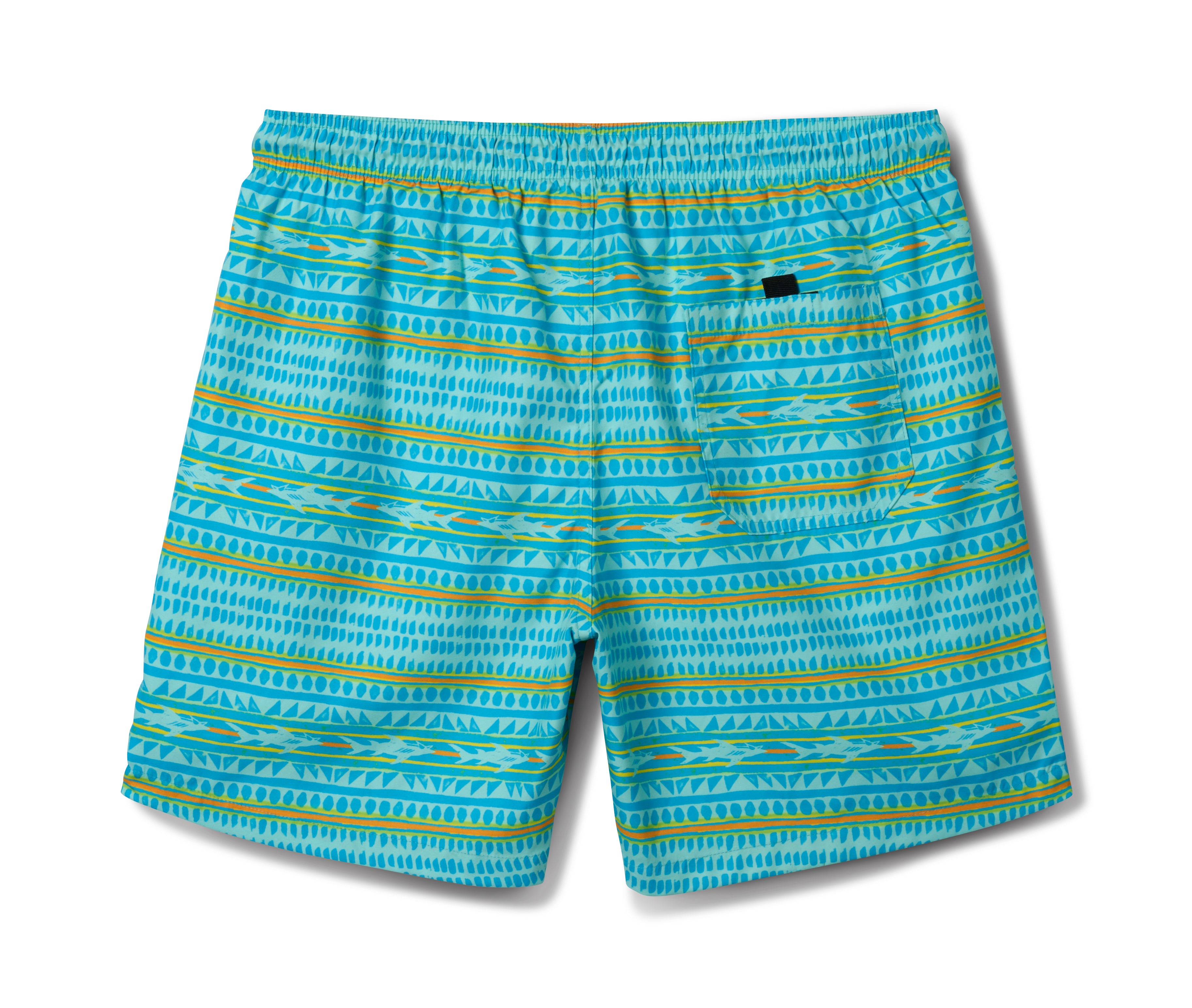 Chaser Stripe Pool Shorts