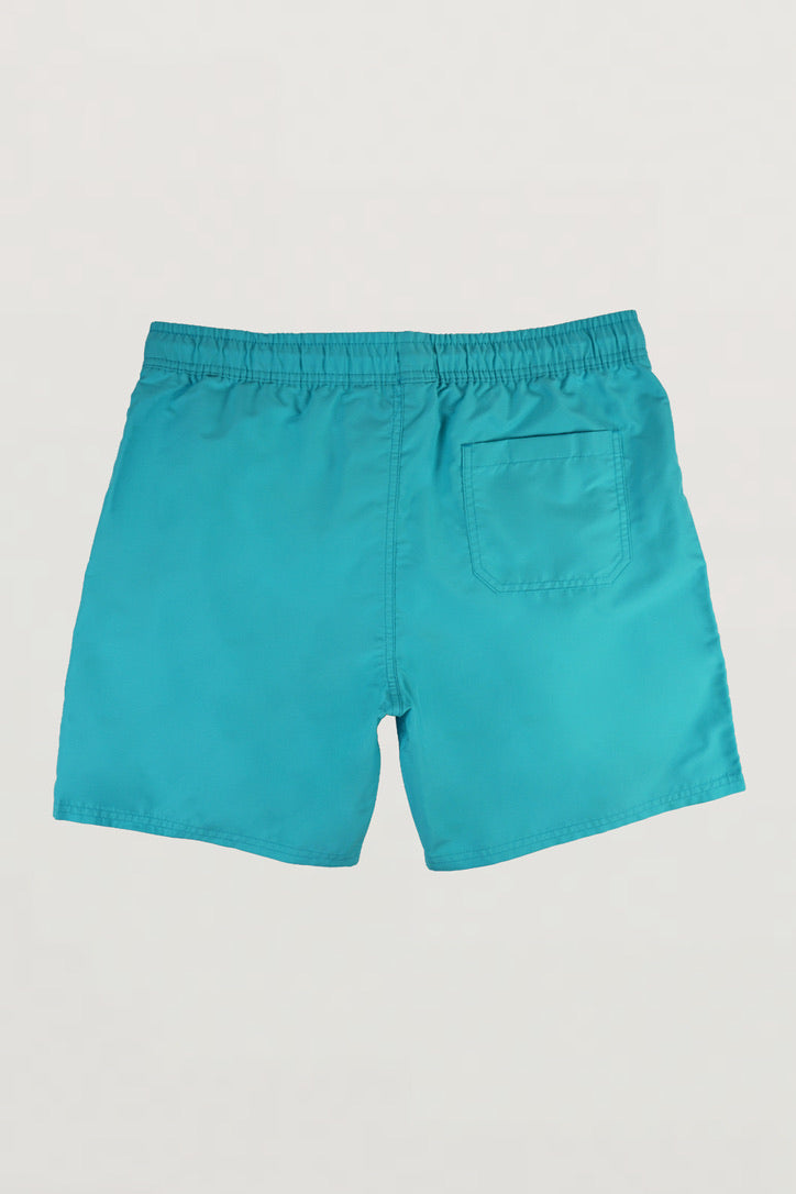 Special Edition Florida Palms Pool Shorts - Destination Collection