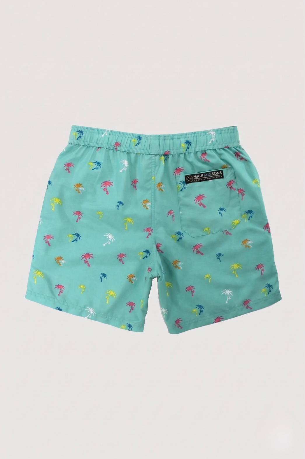 Palm Beach Men's Pool Shorts