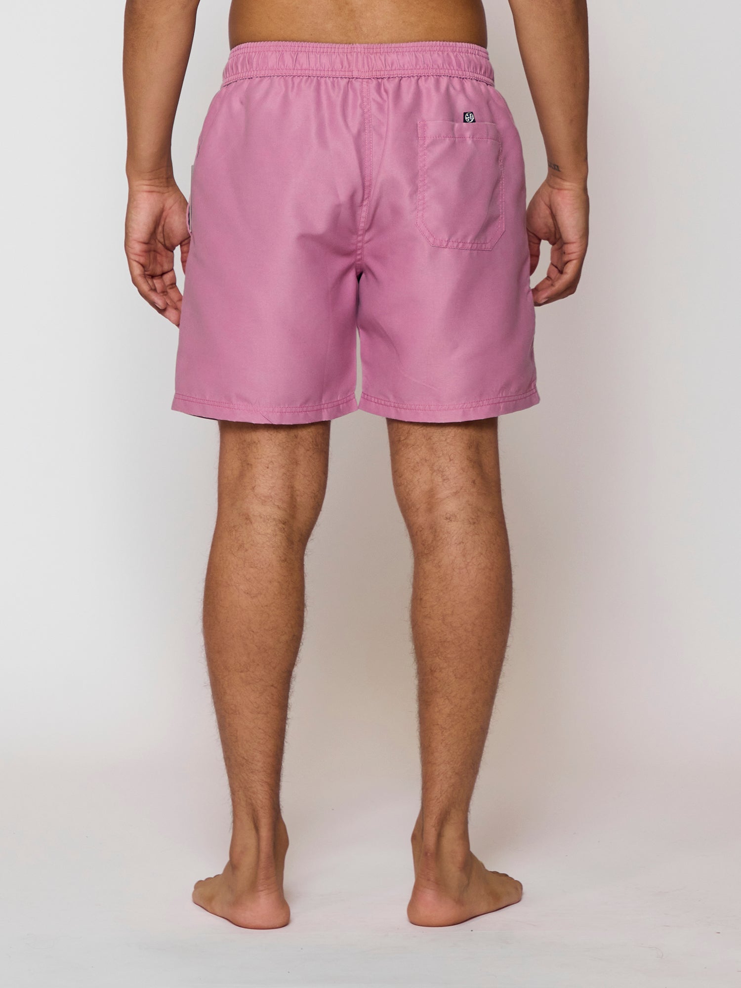 Fifty Fifty Pool Shorts